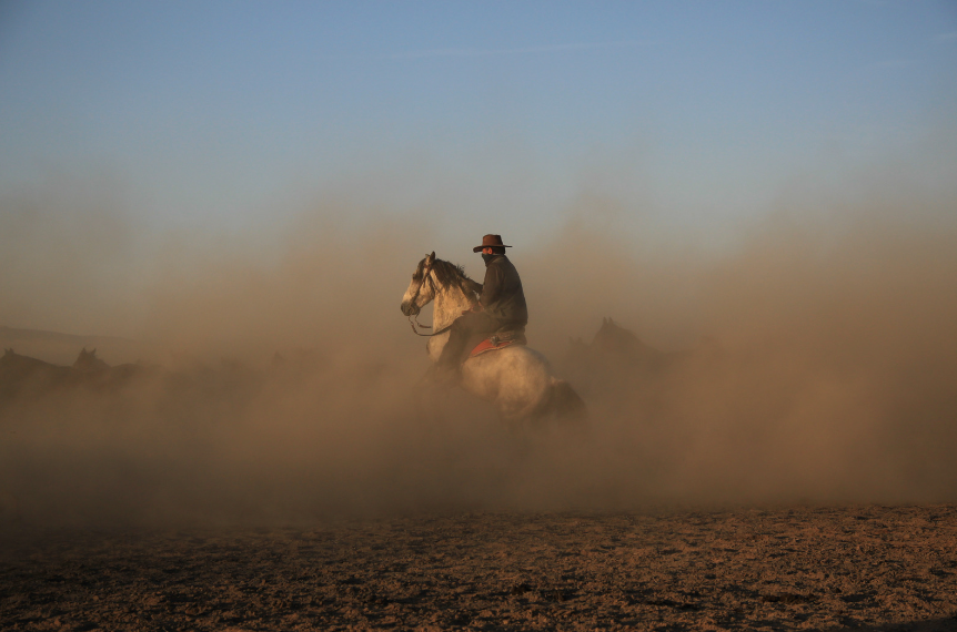 January 2024...Taking the Reins