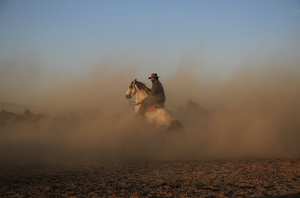 January 2024...Taking the Reins