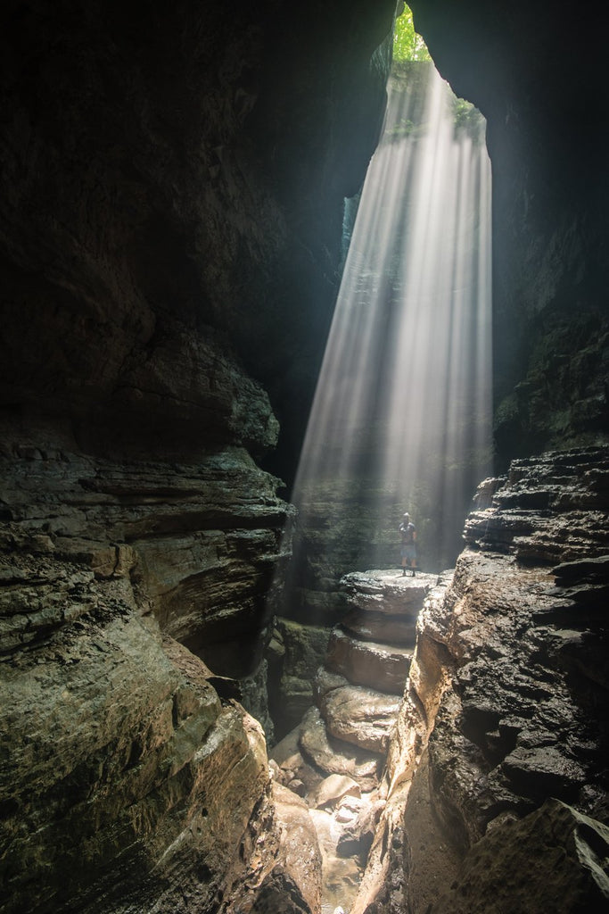 August Newsletter: The light at the end of the Tunnel