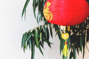The Solar Eclipse and The Chinese New Year
