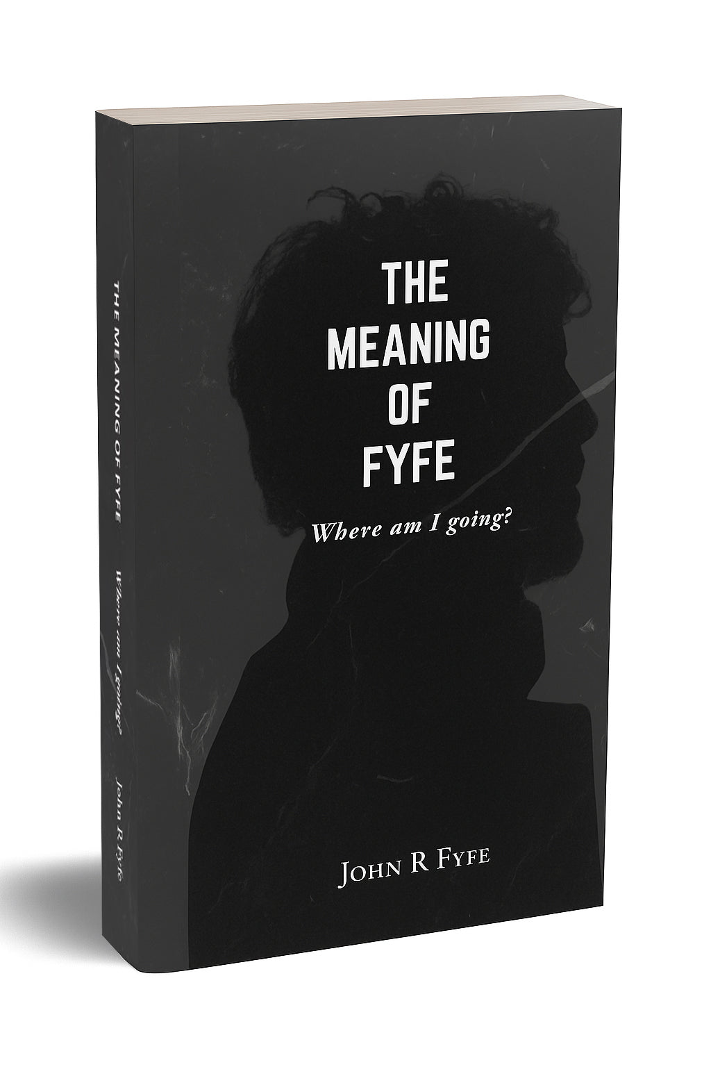 The Meaning of Fyfe: Where am I Going? — Book Two